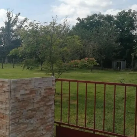 En Campagne Renove Avec Cheminee, Grands Jardins, Wifi, Pres D'un Village Medieval. - Fr-1-410-334 別荘 Moitron-sur-Sarthe