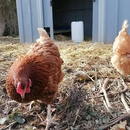 Hébergement de vacances En Campagne Rénové Avec Cheminée, Grands Jardins, Wifi, Près D'un Village Médiéval. - Fr-1-410-334 *