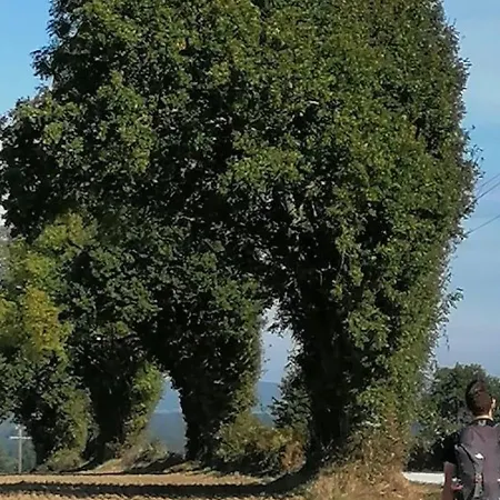 En Campagne Renove Avec Cheminee, Grands Jardins, Wifi, Pres D'un Village Medieval. - Fr-1-410-334 別荘 Moitron-sur-Sarthe