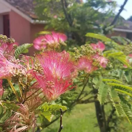 En Campagne Rénové Avec Cheminée, Grands Jardins, Wifi, Près D'un Village Médiéval. - Fr-1-410-334 Hébergement de vacances *