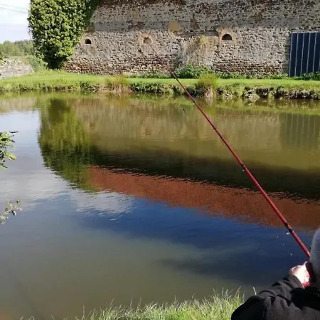 En Campagne Renove Avec Cheminee, Grands Jardins, Wifi, Pres D'un Village Medieval. - Fr-1-410-334 別荘