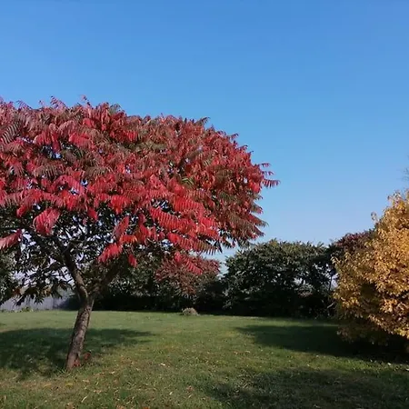 En Campagne Rénové Avec Cheminée, Grands Jardins, Wifi, Près D'un Village Médiéval. - Fr-1-410-334 * Moitron-sur-Sarthe