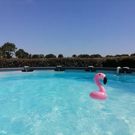 Hébergement de vacances En Campagne Rénové Avec Cheminée, Grands Jardins, Wifi, Près D'un Village Médiéval. - Fr-1-410-334 Moitron-sur-Sarthe