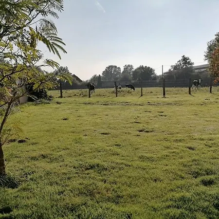 بيت للعطل En Campagne Renove Avec Cheminee, Grands Jardins, Wifi, Pres D'un Village Medieval. - Fr-1-410-334
