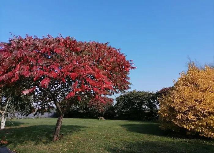 En Campagne Renove Avec Cheminee, Grands Jardins, Wifi, Pres D'un Village Medieval. - Fr-1-410-334 * Moitron-sur-Sarthe